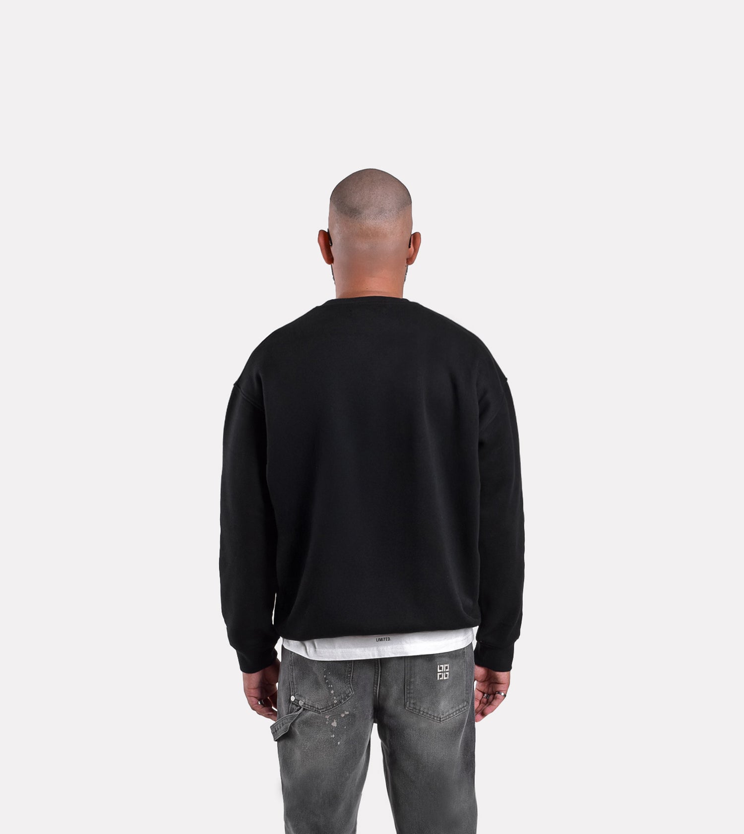 Model Image Hover
